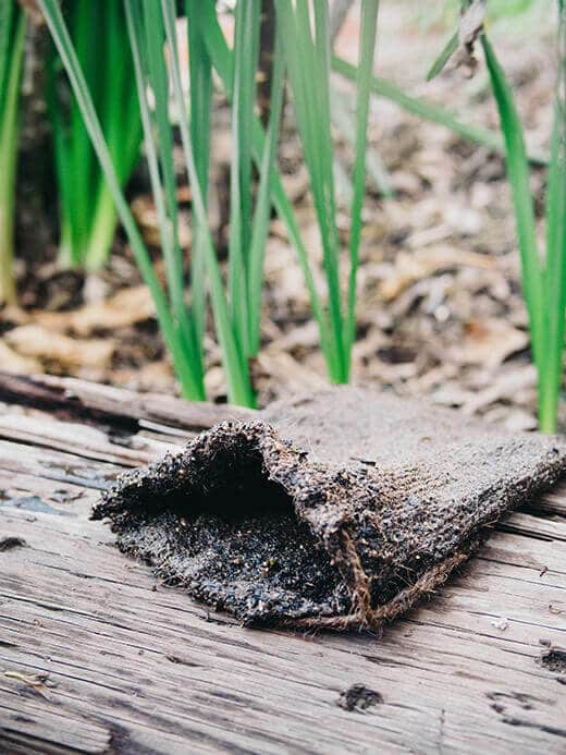 How one can Brew Compost Tea for Larger Plant Properly being – Yard Betty