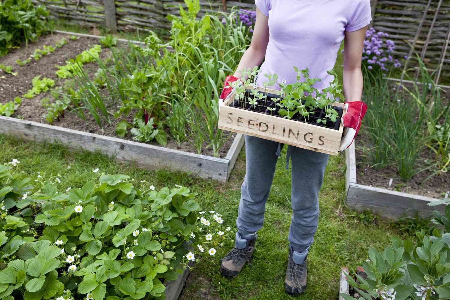 Do You Endure From ‘Scope Creep’ in Your Yard?