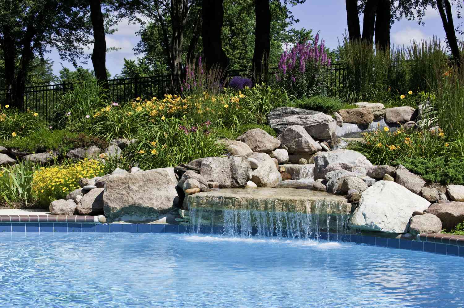 17 Vegetation That Work Fully Throughout the Pool